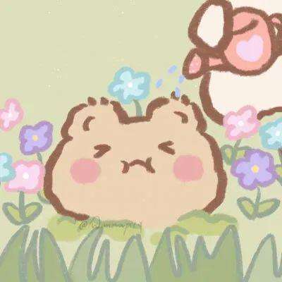 半岛综合下周截图