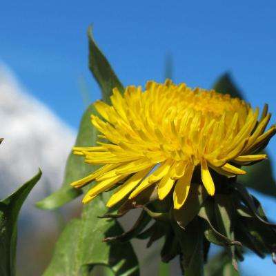 万博max体育注册