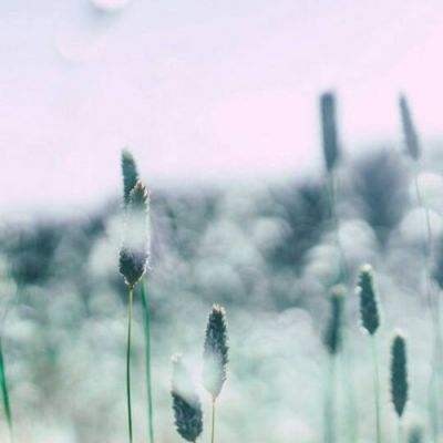 银河国际官网app下载下载手机版